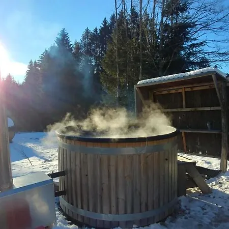 Chalet de Martimprey - Chalets - Gites - Chambres d' Hôtes et SPAS-3