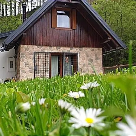 La Luna Delle Montagne Charme & Spa Chalet-2