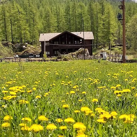 Chalet Rosa Dei Monti-2