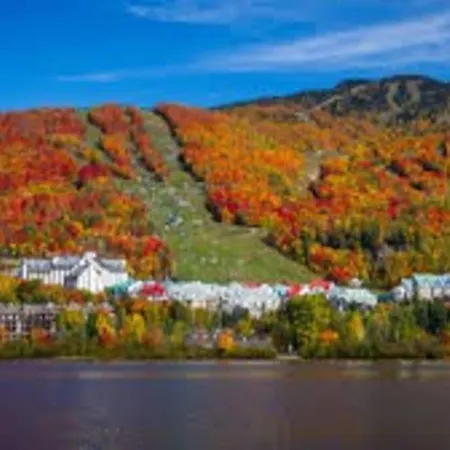 Chalet L'Érable Mont-Tremblant/Lac Supérieur&SPA-3