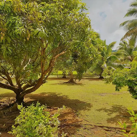 HUAHINE - Tipanier House-3