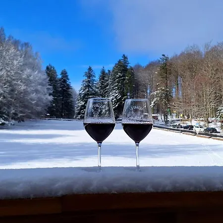 IL RIFUGIO DI GASTONE - Monte Amiata - Macinaie --2