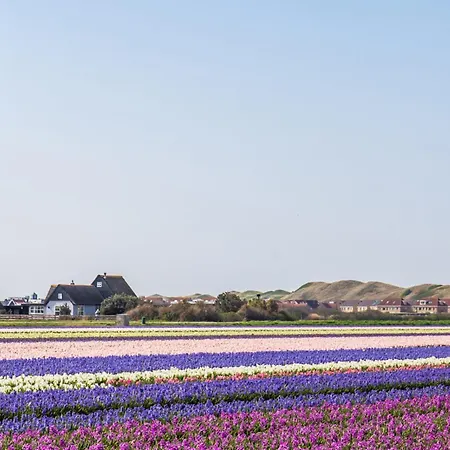 Chalet Luttikduin Nr 17 - Callantsoog aan Zee-2