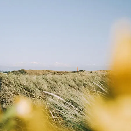 Chalet Luttikduin Nr 15 - Callantsoog aan Zee-2