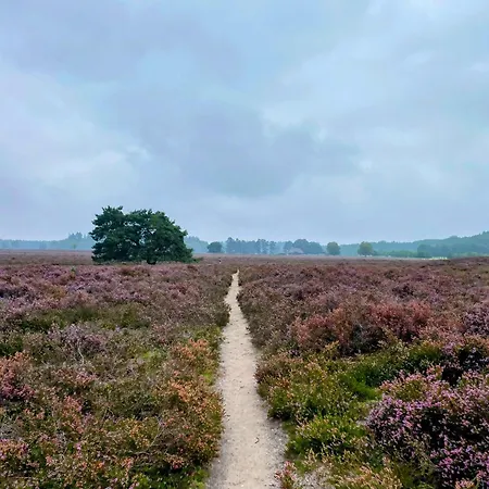 Huisje aan de Bosrand - Veluwe-3