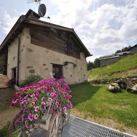 Mountain Chalet Scoiattolo by Livigno Accomodation-2