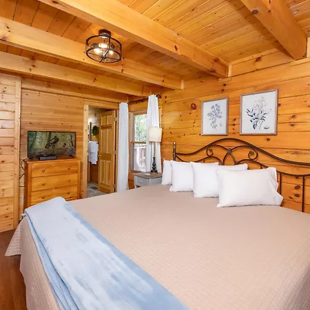 George'S Treehouse-2