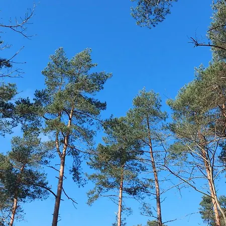 Chalet Wanama. Gelegen op het vakantiepark Het Lierderholt op de veluwe.-2