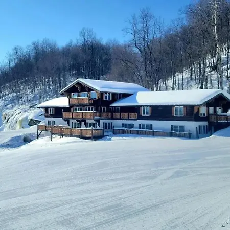 Davos Chalet-2