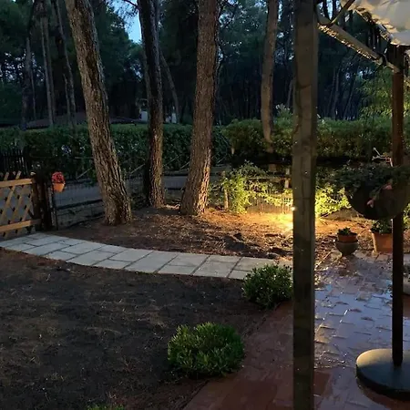 Chalet Felicita con giardino Immerso nel bosco-3