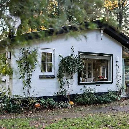 Paulus aan de bos met hot tub-3