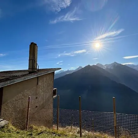 Chalet de l'Ours - Pla d'Adet-2
