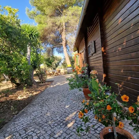 Chalet Villa Mosquito-3