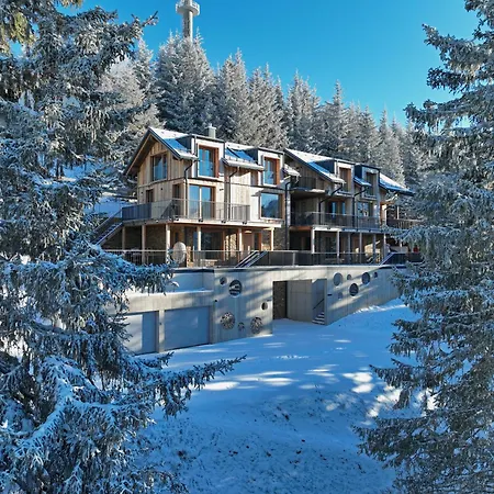 Luxus AlmChalets Schladming-Dachstein-2