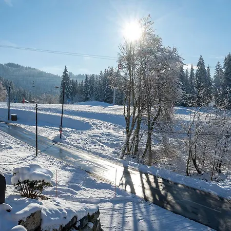 Chalet Le Grizzly-2