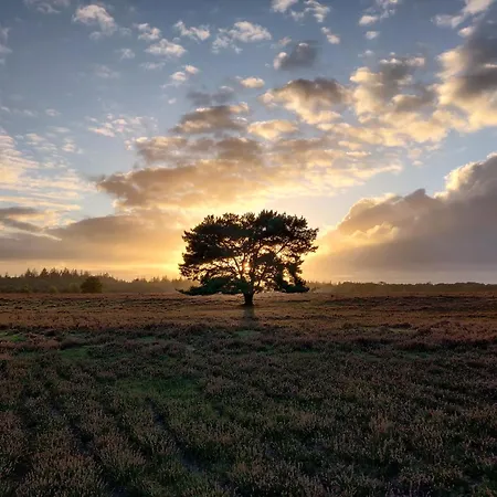 Cozy Tiny House between Veluwe en Veluwemeer - with free use of bikes-2