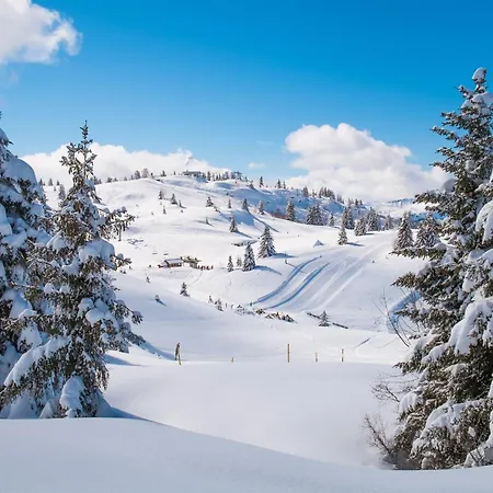 Chalet Anelie-2
