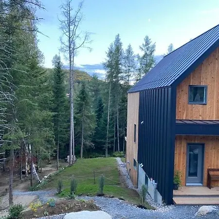 Chalet Scandinave bordure lac -Sauna -Laurentides-3