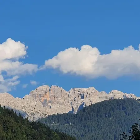 Baita - Chalet tra Pinzolo e Madonna di Campiglio-2