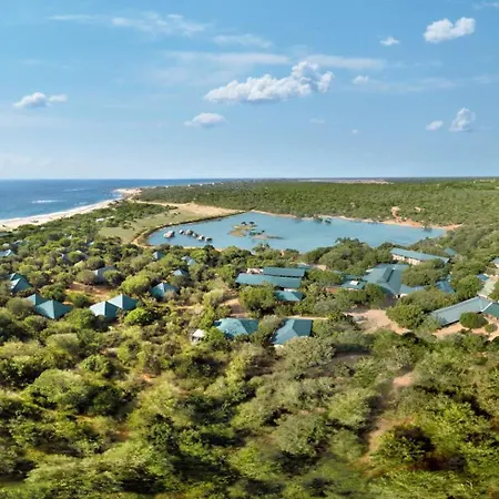 Cinnamon Wild Yala-3