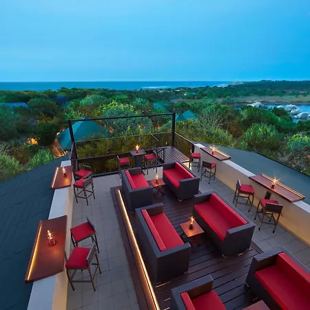 Cinnamon Wild Yala-2