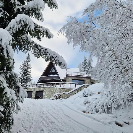 le chalet pointu de capucine-3