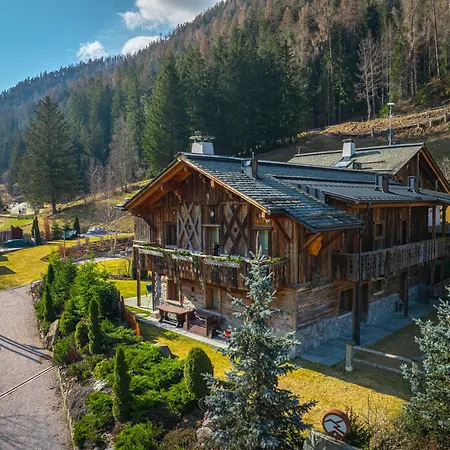 Alpine Mountain Chalet-3