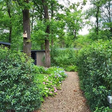 Knus Chalet met boszicht op Vakantiepark Bonte Vlucht - vlak bij Utrechtse Heuvelrug-2