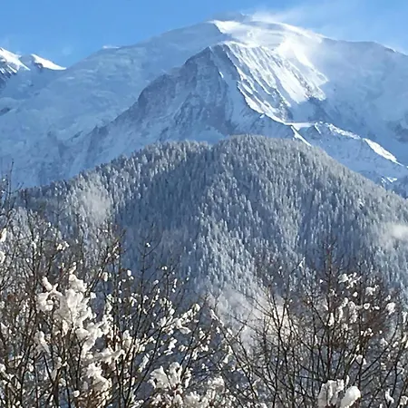 Fizhome Mt Blanc-3