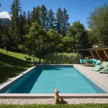 Chalet Mi Amur-2