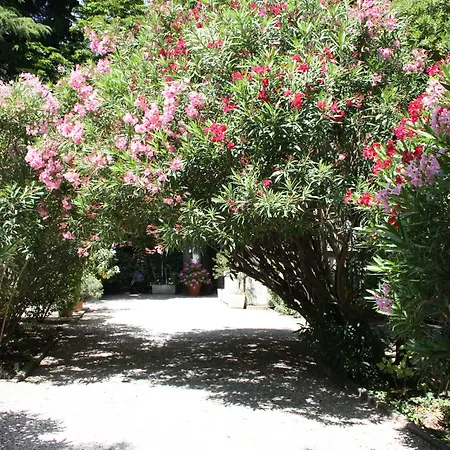 Hotel Le Chalet Fleuri-2