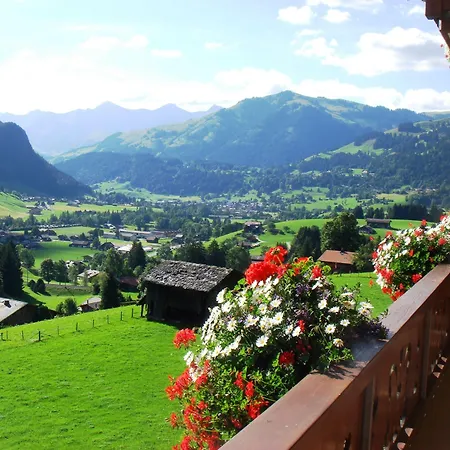 Hotel Le Grand Chalet Gstaad-2