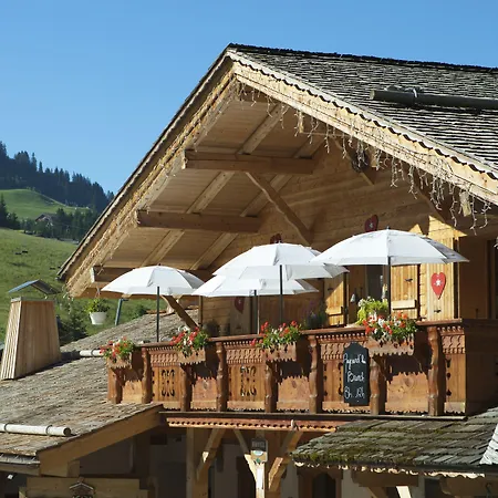 Chalet-Hôtel Les Cimes-2