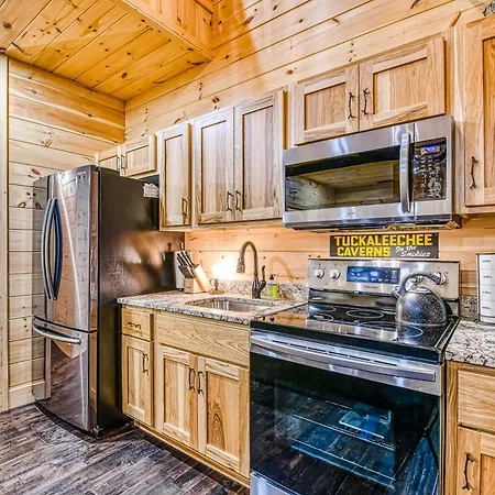 Alpine Creekside Chalet-3