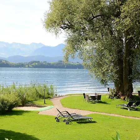 Chalet-Hotel Lodge - Swiss-Chalet Merlischachen-3