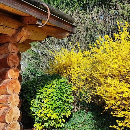 Les Chalets de Maramour-2