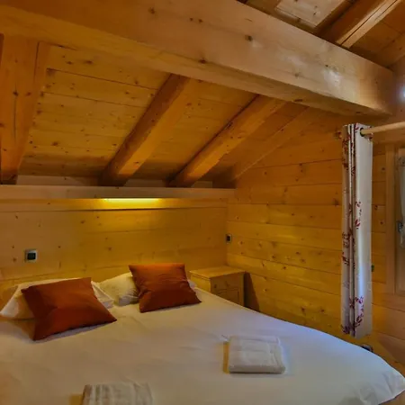 Chalet Les Laurencieres-3