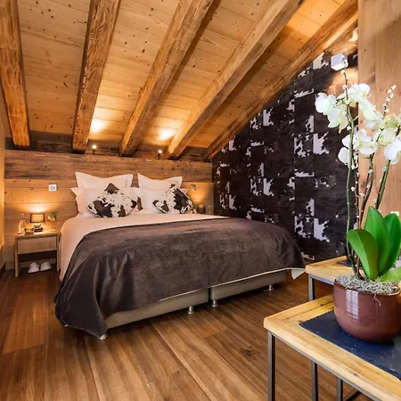 Chalet Emilie-2