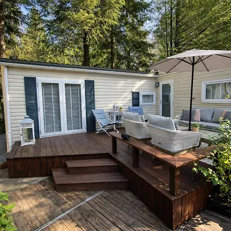 Luxe Chalet met prachtig terras op de Veluwe , veel privacy-2