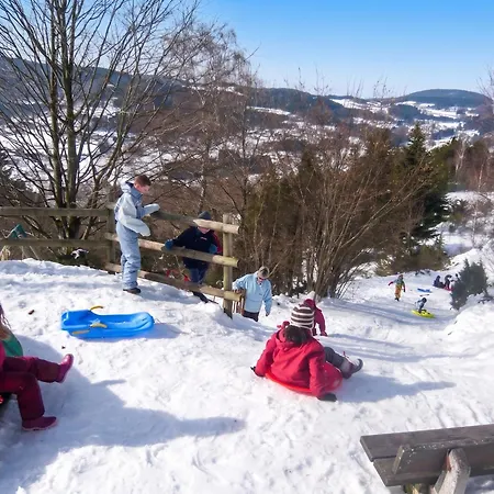 Chalet d'une chambre avec piscine partagee et jardin amenage a Le Tholy-2