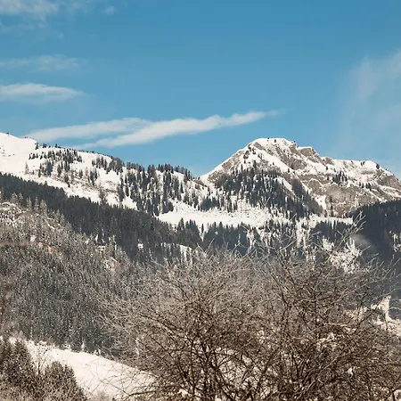 Birnbaum Chalet's-3
