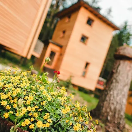 Forest Chalet Resort Felizitas-3