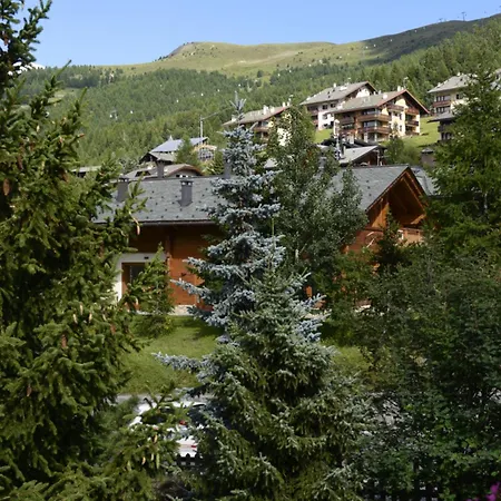 Chalet Garden-2