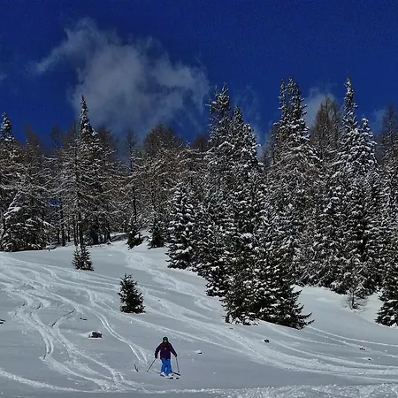 Gasthaus Chalet Mur-3