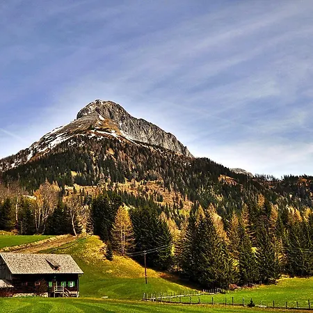 Gasthaus Chalet Mur-2