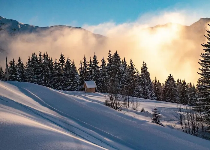 Villa Rose et Chardon - Snow&Trek à Morzine