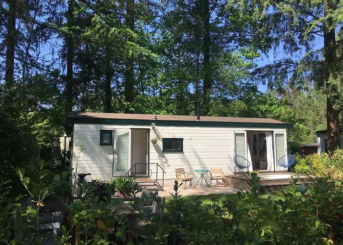 Sfeervol vakantiehuisje in bosrijke omgeving Vorden