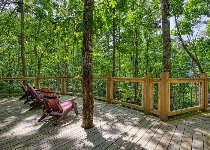 Owls Nest, Hot Tub, Wifi, Featured On Barnwood Builders, Free Attraction Tickets!!! Villa Sevierville