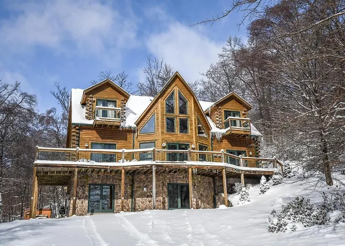 Cozy Bear Chalet Villa McHenry