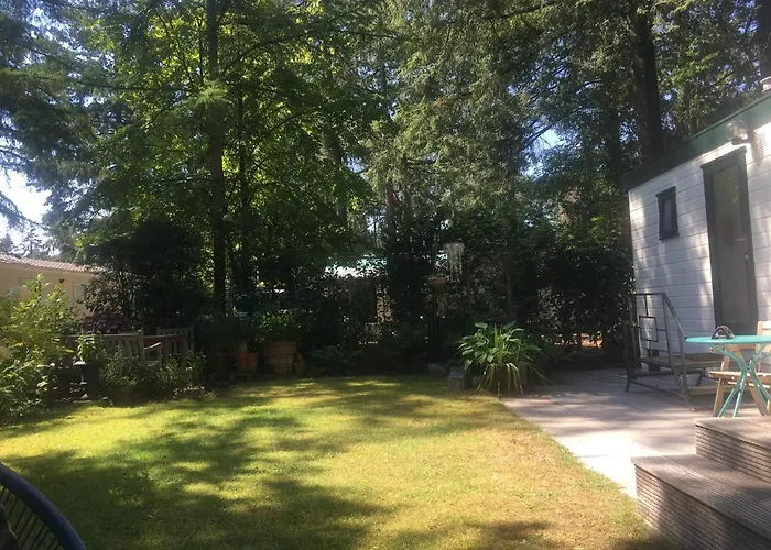 Sfeervol vakantiehuisje in bosrijke omgeving Vorden